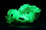 Extremely Fluorescent Botryoidal Hyalite Opal - Nambia #283788-1